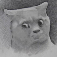 轩轩轩车干轩轩