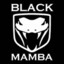 Black_Mamba