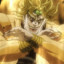 DIO BRANDO