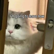 Bye for now....(FOR REAL!)