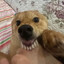 DC_Godzila