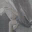 藏马熊之怒