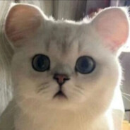 繁华落尽❀空城伤