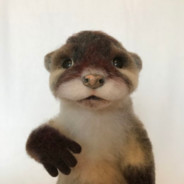 Дикая выдрочка