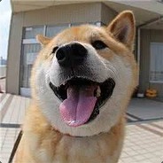 小新爱吃星星饼