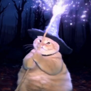 Wizard cat