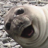 ВЕСЁЛЫЙ ТЮЛЕНЬ