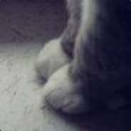 大山雀摧毁湿润猫咪