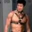 Van Darkholme