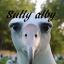 sullyalbybird