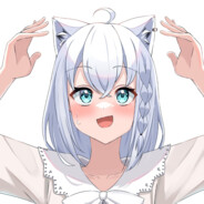 不是猫咪是狐狸