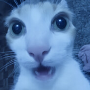 Avatar snapshot