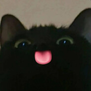 受不了折耳根一点