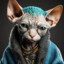 gato sin capucha