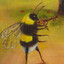 bee