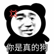 战绩好可能是打匪