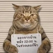 白给野狼_OP[巴咔巴咔]