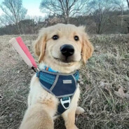 不行你别玩儿了