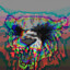 𝔻𝕏𝕎𝔾