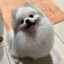 Samka