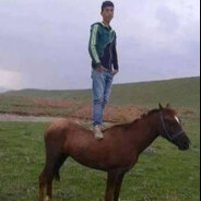 -pachua avatar