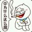 angry cat