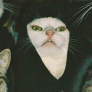 El Gato