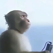 我的悲伤很大很大