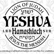 2 Much Room In A Maybach