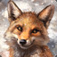 lil Fox