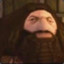 PS1Hagrid