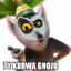 shadowidiota