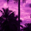 𝐌𝐚𝐫𝐬𝐡𝐚𝐥