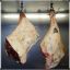 Tanned Meat