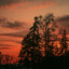 A_X_L_22