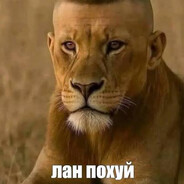Bezdar