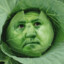 Cabbage