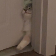 Have u ever been lost?