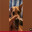 Dog sings lalalala