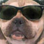 SlimyBrownStuff6
