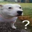 ?