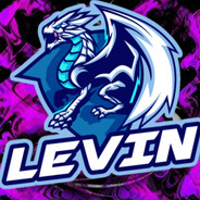 LEVIN