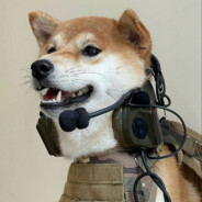 青春与她皆不在