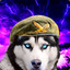 Commander Wolf