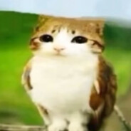 meowl