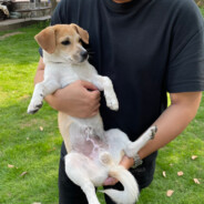 注意 这个男人叫小帅