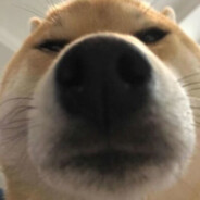 纯爱战神小忧太