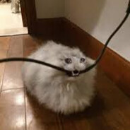 воздушный шарик