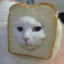 哭泣猫猫头