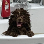 ❖ƬʜᴇᏞᏆᎷϴΝﾂ ᵒ